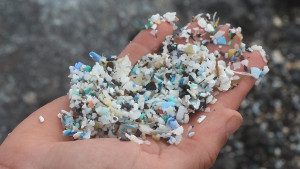 Ученые исследовали связь морских течений и скоплений микропластика на дне океана